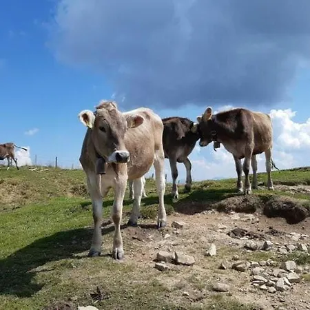In Hergensweiler