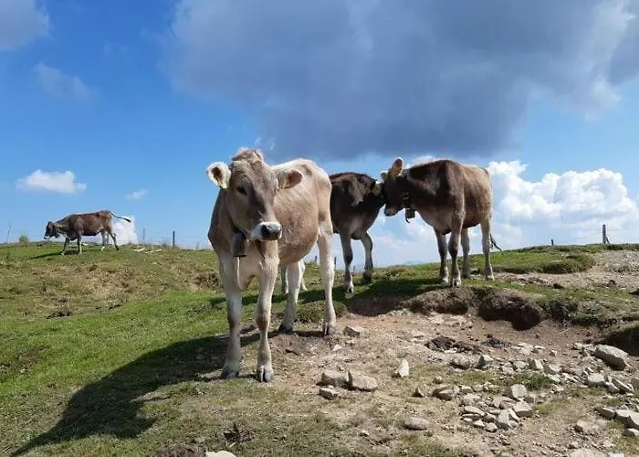In Hergensweiler